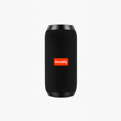 Moodilly høyttaler