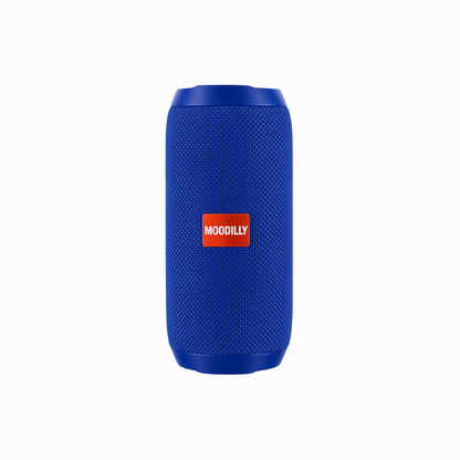 Moodilly høyttaler